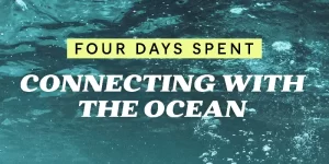 Get to know the ocean activities that we did during 4 days