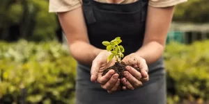 Self-sustainability: what is it and why is it impactful?
