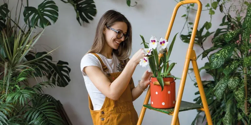 Indoor vertical garden: How to create your own | Maaji