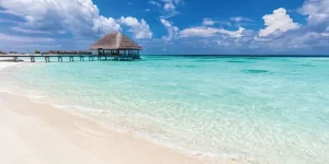 Best Caribbean snorkeling and vacation